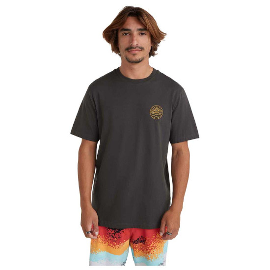 O'neill Ανδρική κοντομάνικη μπλούζα Jordy Smith Senic T-Shirt